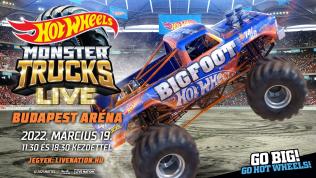 Hot Wheels™ Monster Trucks Live