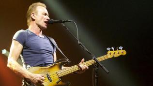 Sting