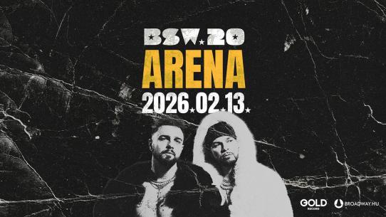 BSW 20